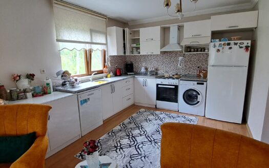 Karapürçek’te 945 M2 Arsa İçinde Satılık 2 Katlı Müstakil Ev