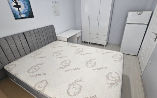Serdivan Kemalpaşa Mahallesinde Eşyalı 2+1 Kiralık Daire