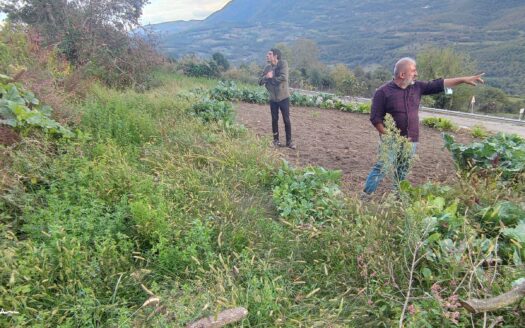 Bolu Taşkesti bölgesine Asfalt Kenarında Satılık Bahçe
