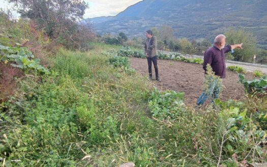 Bolu Taşkesti bölgesine Asfalt Kenarında Satılık Bahçe