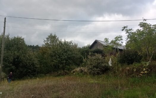 Bolu Taşkesti bölgesine Asfalt Kenarında Satılık Bahçe
