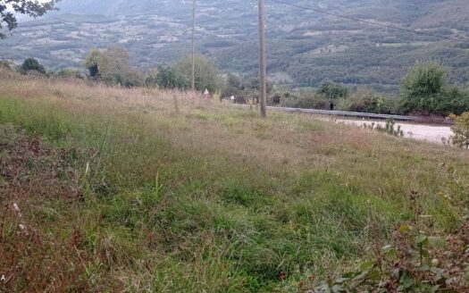 Bolu Taşkesti bölgesine Asfalt Kenarında Satılık Bahçe