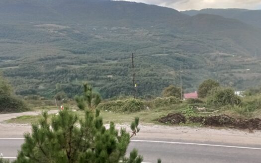 Bolu Taşkesti bölgesine Asfalt Kenarında Satılık Bahçe